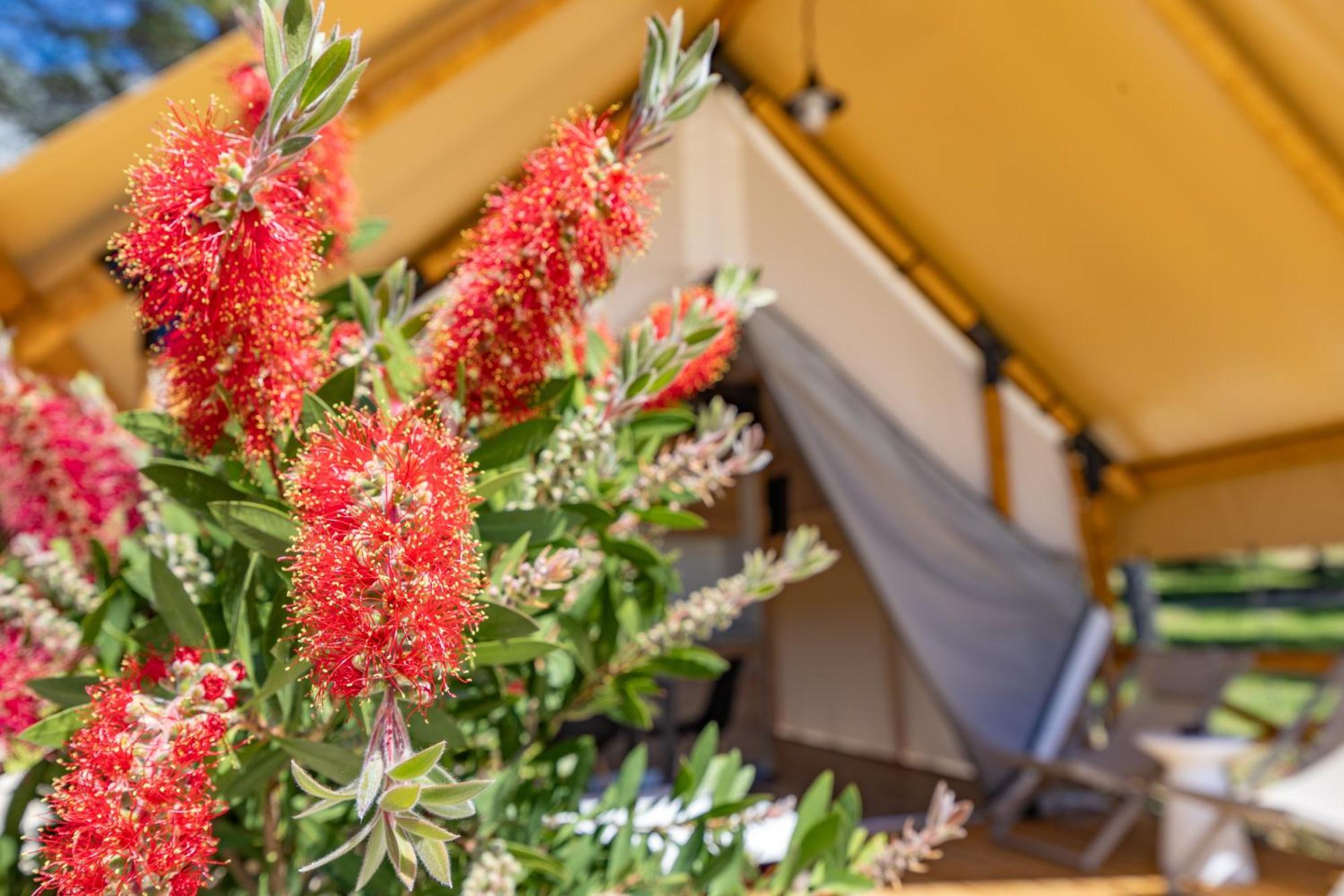 Camp Dole Zivogosce - Mobile Home And Glamping Tent Exterior photo